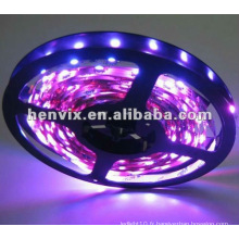 Bande LED flexible haute tension 12v